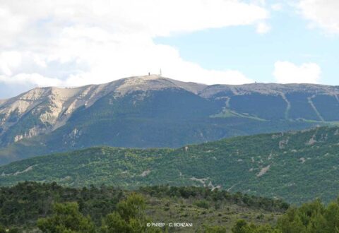 Le Mont-Ventoux