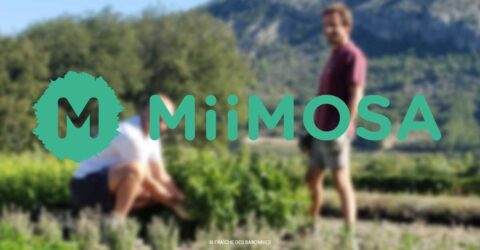 Miimosa, financement participatif